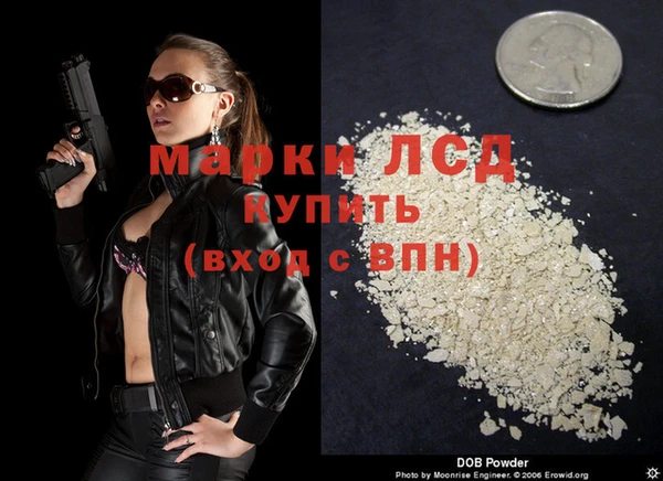 хмурый Осинники