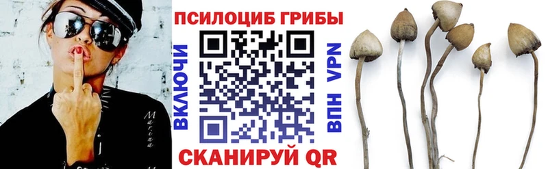 Галлюциногенные грибы мицелий  Отрадное 