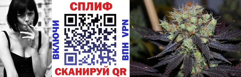 Конопля OG Kush Отрадное